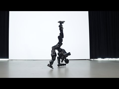 Fourier Intelligence N1