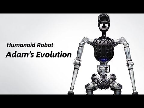 PNDbotics Adam